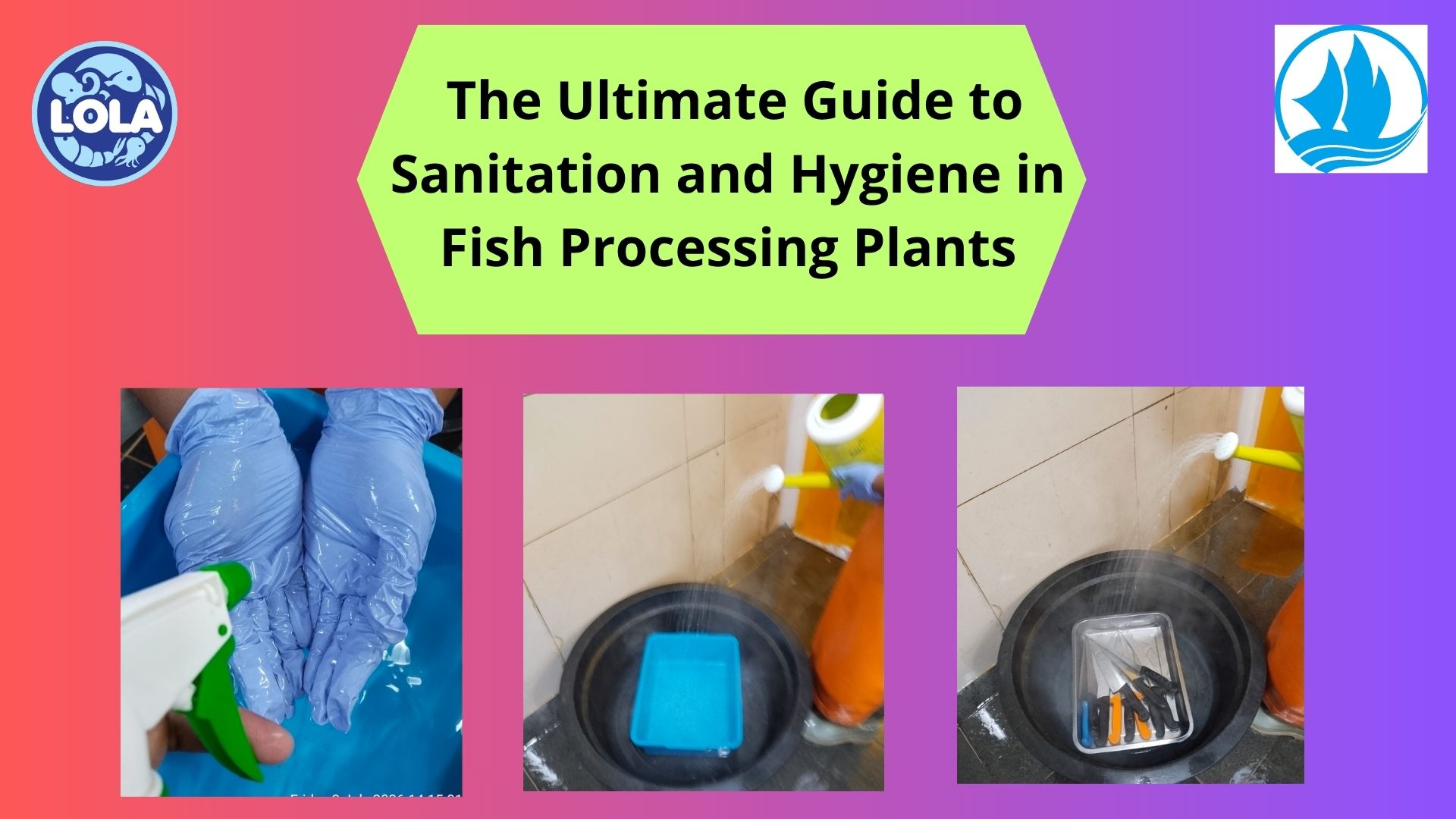   The Ultimate Guide to Sanitation and Hygiene in Fish Processing Plants